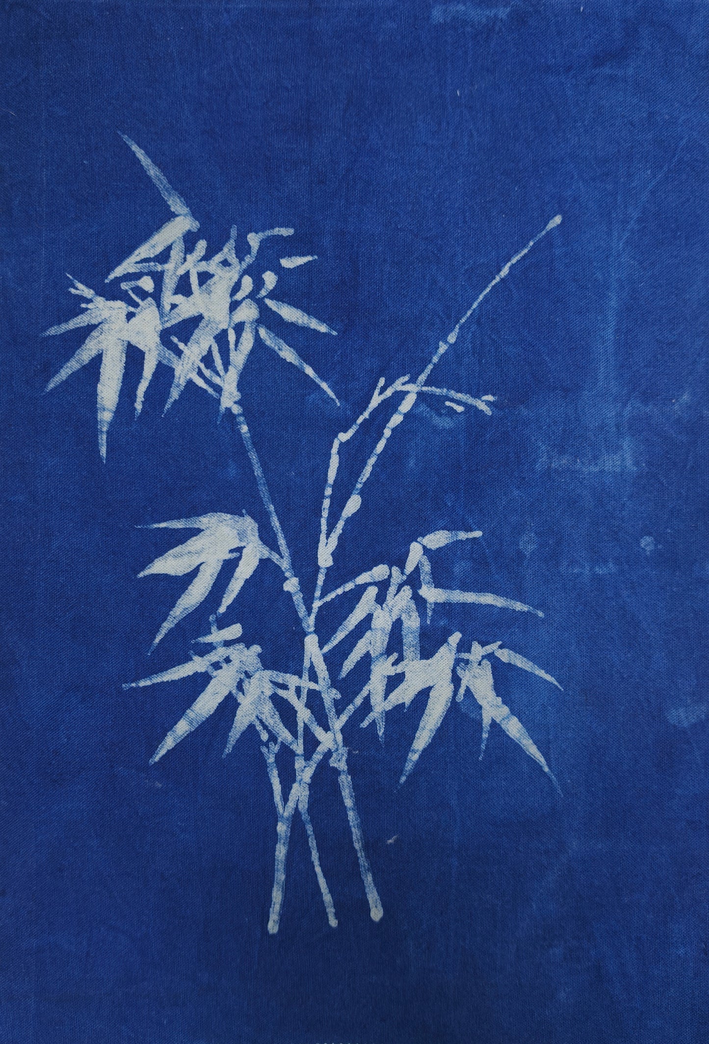 Bamboo illustration on a blue background
